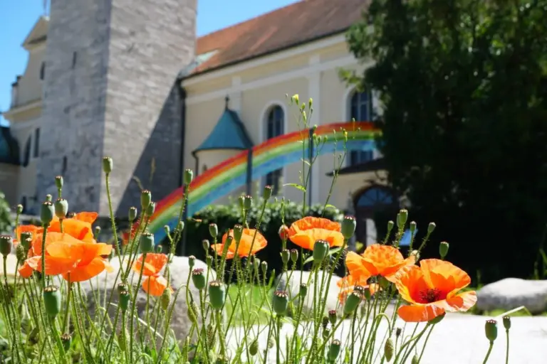 LAG AL P Projekt Garten der Schöpfung 06